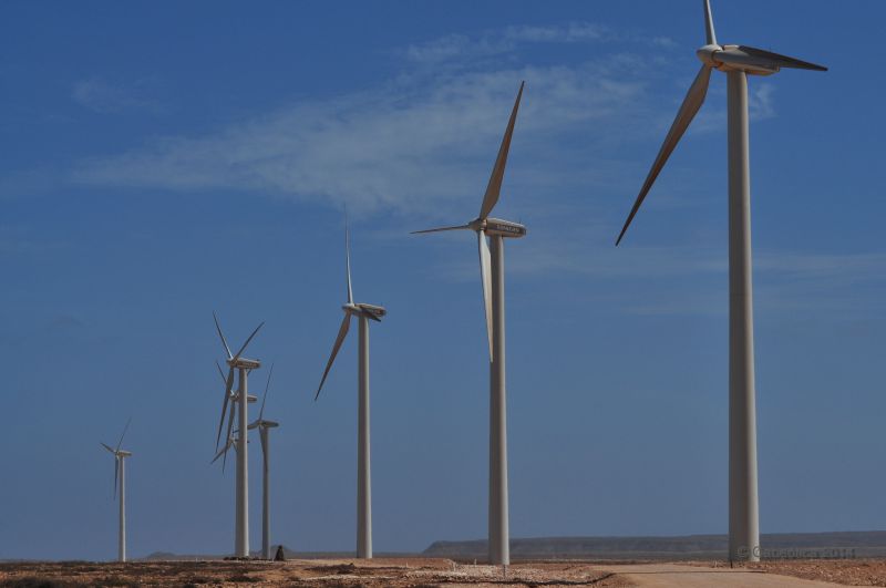 Projeto REIUP reforçado com novos financiamento e prazo alargado até 2030